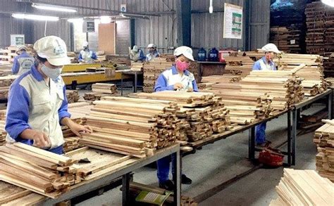 công ty cổ phần chế biến gỗ thuận an